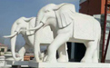 石雕大象適合擺放在哪里？